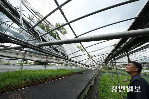 19일 오후 용인시 처인구 남사읍의 한 화훼단지에 지난해 기록적인 폭설로 인해 무너진 비닐하우스가 복구 되지 않은 채 방치되고 있다. 2025.8.19 /최은성기자 ces7198@kyeongin.com