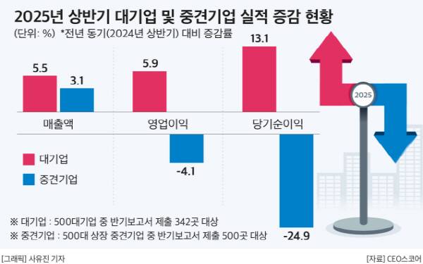 2025년 상반기 대기업 및 중견기업 실적 증감 현황. CEO스코어