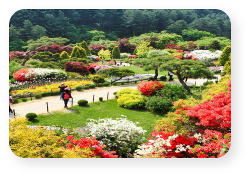 가평 수목원 / 사진 = 경기도