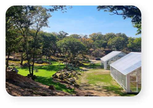 파주 DMZ숲 / 사진 = 경기도