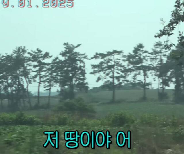 선우용여는 남편이 유산으로 남겨준 900평 땅을 자랑했다. / 유튜브 '순풍 선우용여'