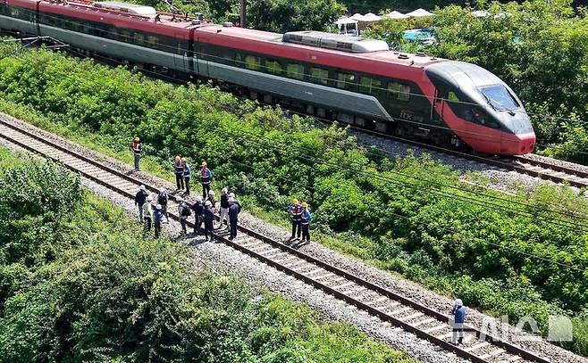 [청도=뉴시스] 이무열 기자 = 무궁화호 열차가 선로 인근에서 작업 중이던 근로자 7명을 치는 사고가 발생한 19일 경북 청도군 화양읍 삼신리 경부선 철로에서 경찰과 소방, 코레일 등 관계들이 사고가 난 현장을 조사하고 있다. 2025.08.19. lmy@newsis.com