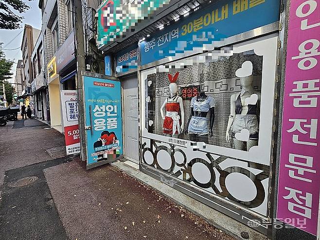이날 센터에서 2분 가량 떨어진 한 성인용품점 유리창에 '영업중' 푯말과 성인용 코스튬이 걸려 있는 모습.
