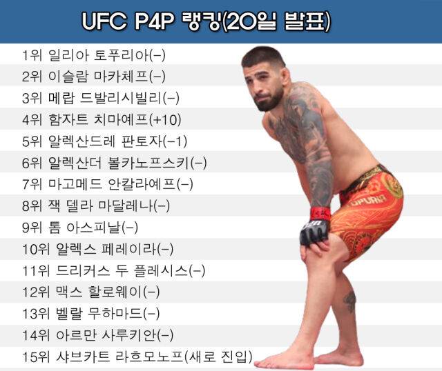 20일 발표된 UFC P4P 랭킹. /그래픽=심재희기자