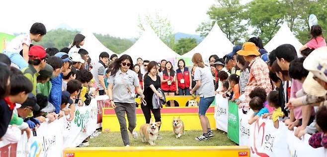 [서울시 제공]