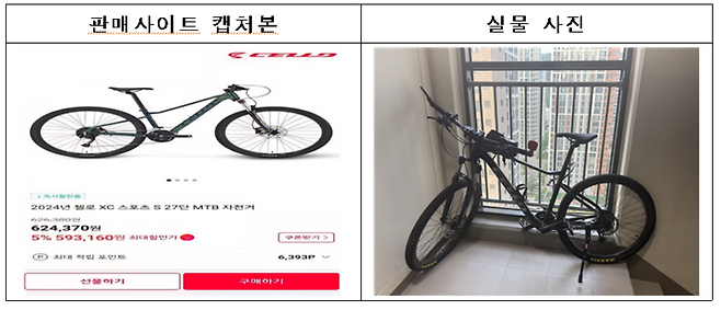 [국가철도공단 제공]