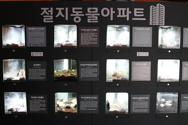 충식이의 곤충체험관. 박찬희