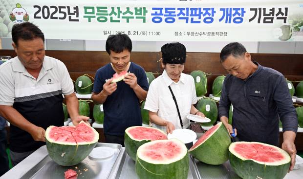 21일 광주 북구 금곡동 무등산수박 공동직판장에서 열린 개장 기념 및 출하 기원제에서 작목반 회원들이 수박컷팅식과 함께 시식을 해보고 있다.
 /나명주기자mjna@kwangju.co.kr