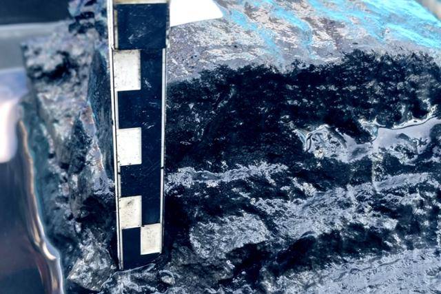 썩고 있는 새만금호 퇴적토. 새만금시민생태조사단 제공