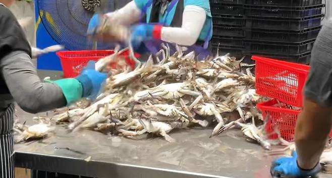 조업을 마치고 포장 작업에 들어가는 장면. /이마트 제공