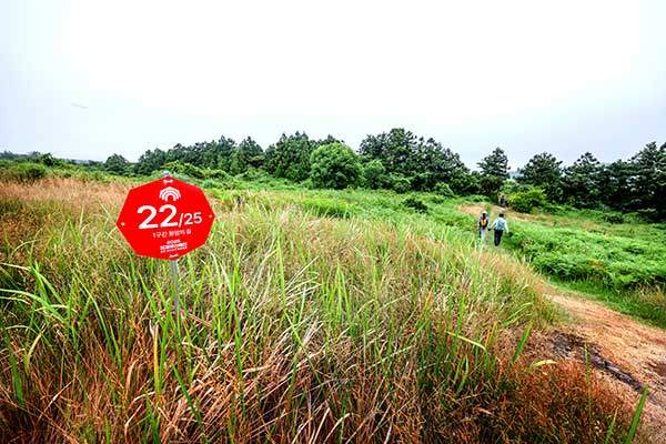 6km를 25등분해, 22번까지 왔음을 알리는 안내판. 특별개방 기간이 지나면 모두 수거한다.