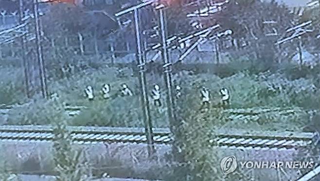 청도 열차사고 직전 작업자 이동 모습 담긴 CCTV (청도=연합뉴스) 지난 19일 오전 10시 45분께 경북 청도군 화양읍 삼신리 청도소싸움 경기장 인근 경부선 철로에서 작업자들이 이동하는 모습.
    해당 장면이 촬영된 직후 무궁화호 열차가 선로 인근에서 작업 중이던 근로자 7명을 치어 2명이 사망하고 5명이 다치는 사고가 났다. 2025.8.20 [독자 제공.재판매 및 DB금지] psik@yna.co.kr