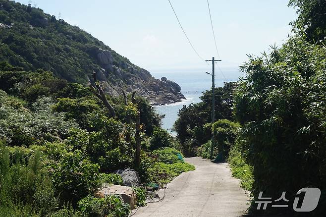 섬의 남동쪽 '집앞에' 해안가로 가는 마을 길. 2025.8.22/뉴스1 ⓒ News1 조영석 기자