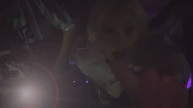 sPxtXr