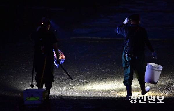 지난 22일 오후 7시30분께 인천시 옹진군 영흥면 내리에서 해루질을 하기 위해 모인 동호인들이 어촌계 어장 진입로를 이용해 갯벌로 들어가고 있다. 2025.8.22 /조재현기자 jhc@kyeongin.com