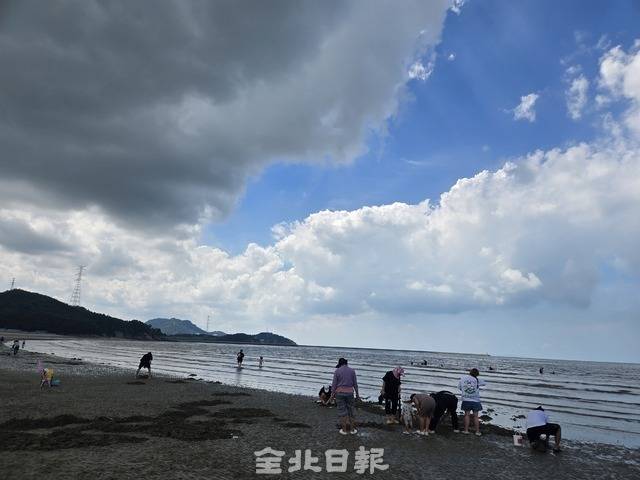 24일 구시포 해수욕장에서 피서객들이 해수욕과 갯벌 체험을 즐기고 있다. 김경수 기자