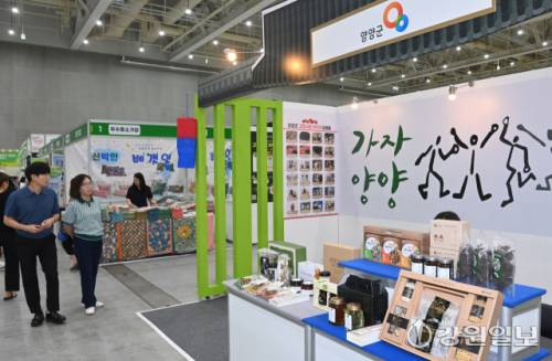 ■양양군 박정호·박주용·최해선 자치행정담당관 주무관 등 양양군 직원들이 지역 특산품인 양양송이를 전면에 앞세웠다. 양양송이로 만든