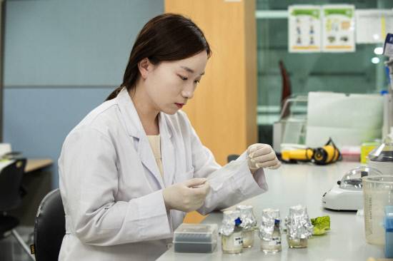 경남도농업기술원이 지난 4월부터 '병해충 정밀검사기관'을 본격적으로 가동하면서 은 과수 농업의 안전망을 한층 강화하고 있다. 초고속 대응 체계를 마련함으로써, 병해충 확산 방지의 '골든타임'을 확보했다. 사진은 농업기술원 연구진이 의심 시료를 분석하고 있다.사진=경남도농업기술원