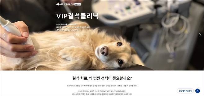 VIP동물의료센터 동대문점은 VIP결석클리닉 전용 홈페이지도 오픈했다(동물병원 제공). ⓒ 뉴스1