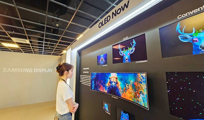 삼성디스플레이가 올 5월 대만 컴퓨텍스 2025에서 전시한 IT OLED 라인업. [삼성디스플레이 제공]