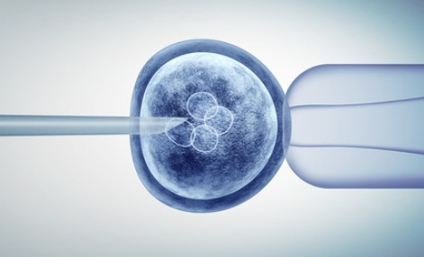 사진은 본 기사와 관련 없음. 이미지투데이