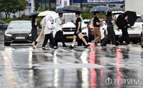 ◇지난 13일 춘천 명동거리에서 우산을 쓴 시민들이 횡단보도를 건너고 있다. 사진=신세희 기자
