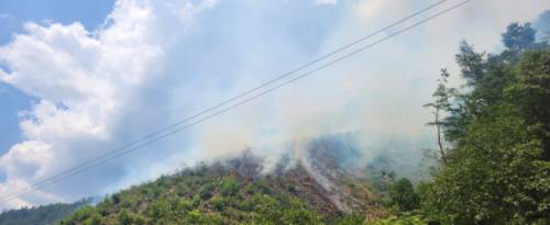 ◇25일 오전 11시54분께 강원도 삼척시 가곡면의 한 야산에서 불이 났다. 사진=산림청 제공
