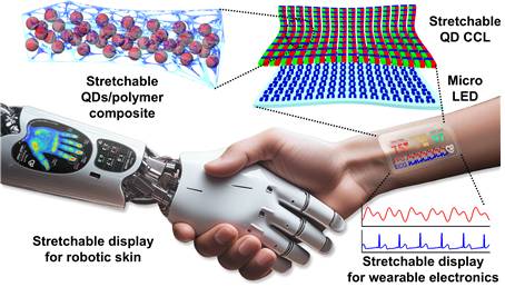 웨어러블 헬스케어 및 로보틱스 응용에 적합한 고신축성·고해상도 양자점 색변환층 기반 스트레처블 디스플레이의 개략도