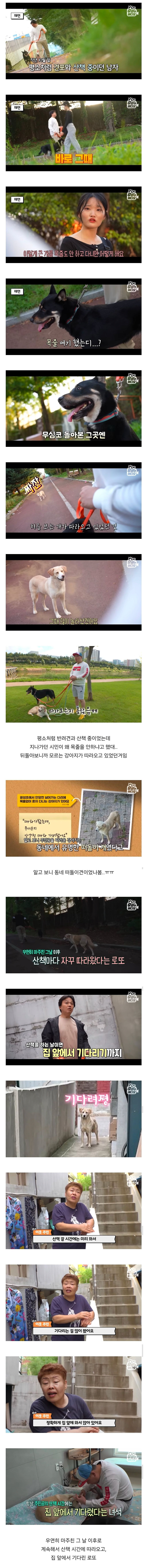 image.png 목숨을 걸고 한 달 만에 집으로 돌아온 강아지