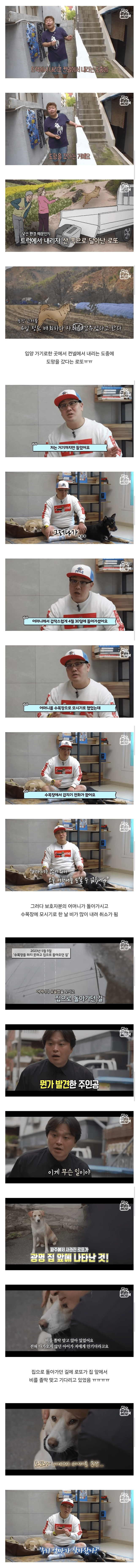 image.png 목숨을 걸고 한 달 만에 집으로 돌아온 강아지