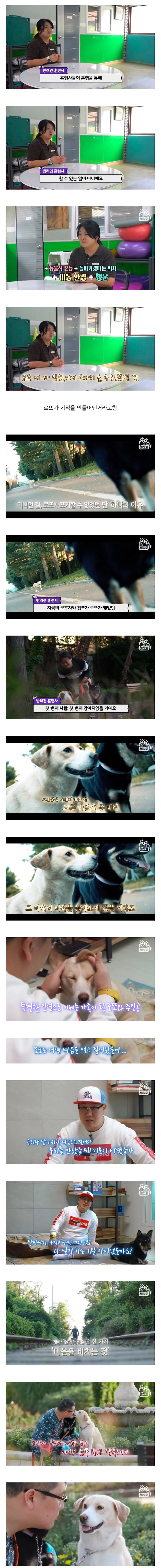 image.png 목숨을 걸고 한 달 만에 집으로 돌아온 강아지