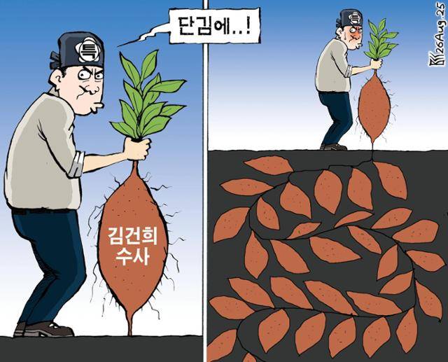8월26일자 만평