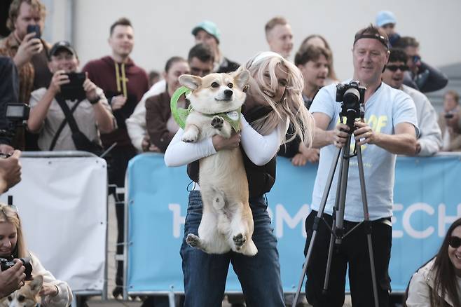 ‘코기 레이스 빌뉴스 2025(Corgi Race Vilnius 2025)’가 열린 리투아니아 빌뉴스의 빙기스 공원에서, 코기 레이스 우승견 망고(Mango, 가운데)가 보호자와 함께 우승을 자축하고 있다. [EPA]