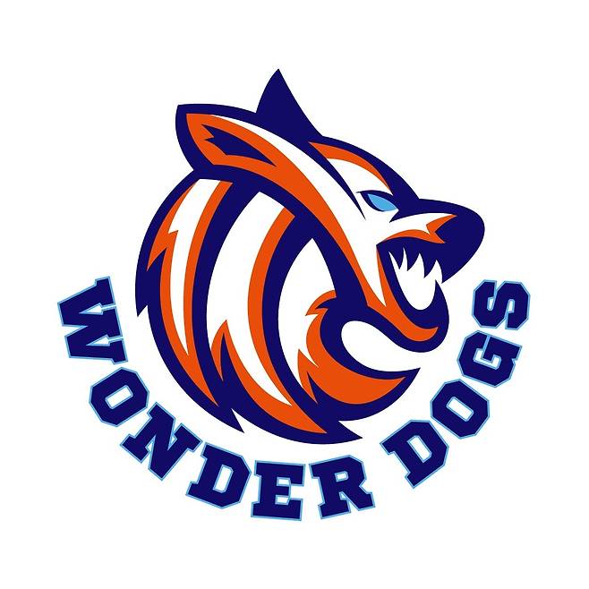 김연경이 이끌 배구팀 '필승 원더독스' 로고 [MBC 제공. 재판매 및 DB 금지]