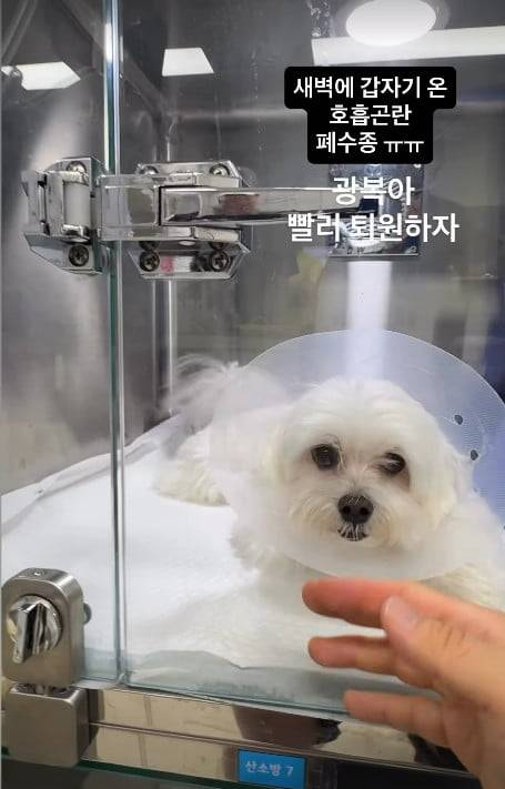 사진=박성광 SNS