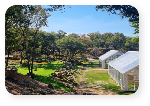 파주 DMZ숲.[사진=경기도]