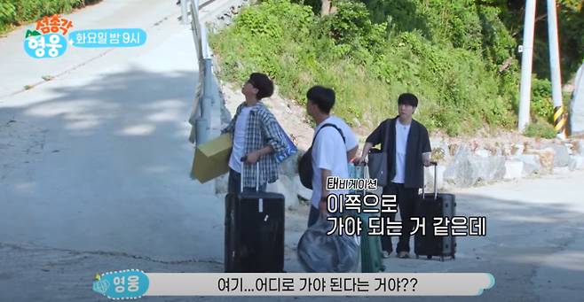 '섬총각 영웅' 임영웅, 시작부터 땀샘 폭발…힐링 꿈꿨지만 현실은 극한 훈련