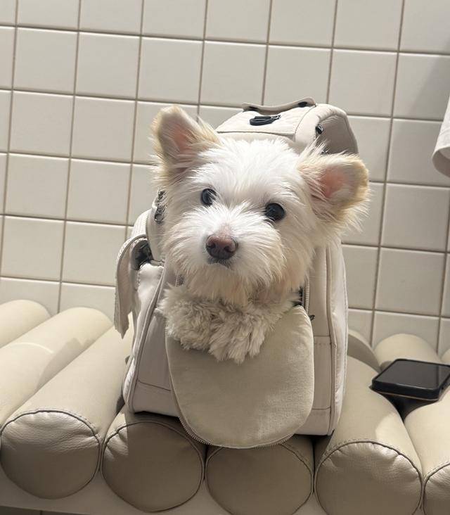 내 얼굴을 봐! 걱정과 근심이 사라질거야!