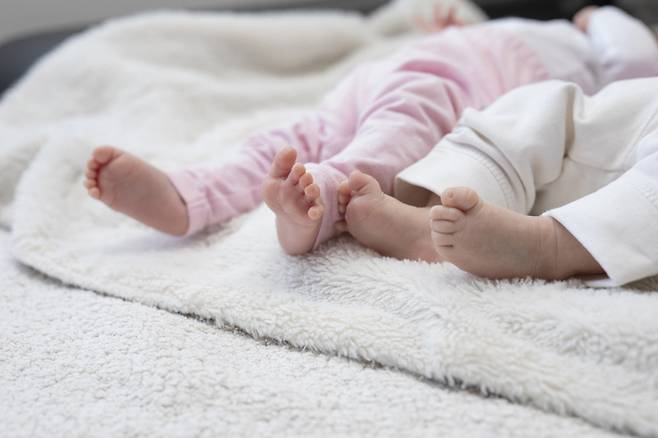 기사 내용과 직접적인 관련 없는 사진. 쌍둥이 아기 참고 이미지/사진=게티이미지뱅크