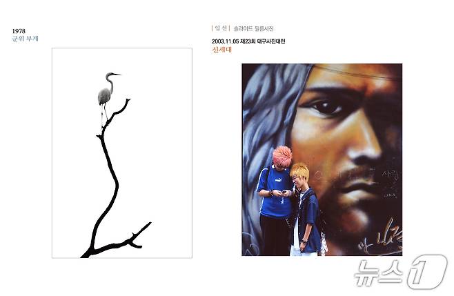 1978년 군위 부계 백로(이종룡·왼쪽), 2003년 신세대(이승국). (작가 제공)