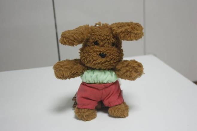 최근 MZ세대 사이에서 가방에 다는 키링이 열풍이다. 이제는 단순히 키링 인형을 소유하는 것을 넘어 인형에 옷을 입히거나 인형 자체를 꾸미는 문화가 확산되고 있다.ⓒ데일리안 남가희 기자