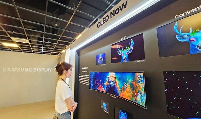 삼성디스플레이가 올 5월 대만 컴퓨텍스 2025에서 전시한 IT OLED 라인업.ⓒ삼성디스플레이