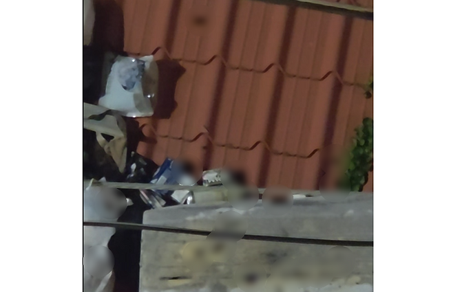 이웃 주민 C 씨가 민원을 넣으며 촬영한 영상, 가림 처리 속 바퀴벌레가 들끓고 있다.