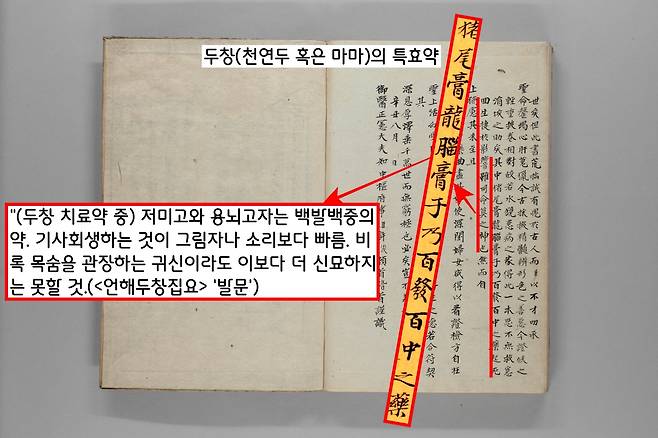 두창 치료제인 신약은 무엇일까. 허준은 “두창 치료제로 ‘저미고’와 ‘용뇌고자’를 백발백중이자…기사회생의 약재…”로 소개했다.