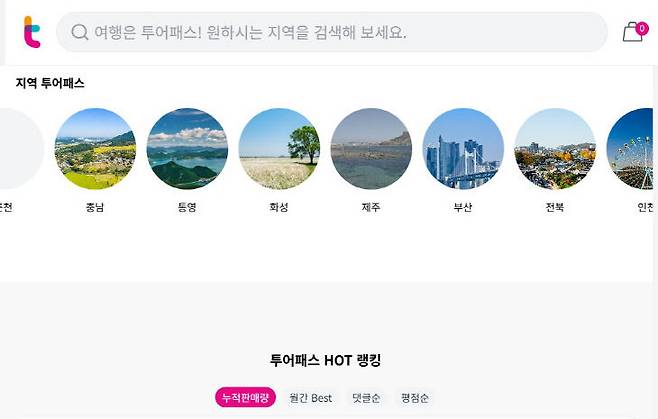 투어패스 안내 누리집 화면. 사진=누리집 갈무리.