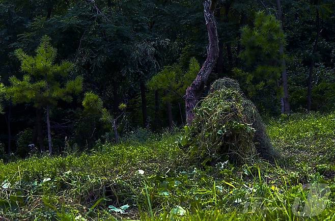 (평양 노동신문=뉴스1) =북한 노동당 기관지 노동신문은 28일 "경애하는 김정은동지께서 8월 27일 조선인민군 총참모부직속 특수작전 훈련기지를 방문하시고 저격수 구분대와 특수작전 구분대 훈련실태를 료해(파악)했다＂고 보도했다. [국내에서만 사용가능. 재배포 금지. DB 금지. For Use Only in the Republic of Korea. Redistribution Prohibited] rodongphoto@news1.kr