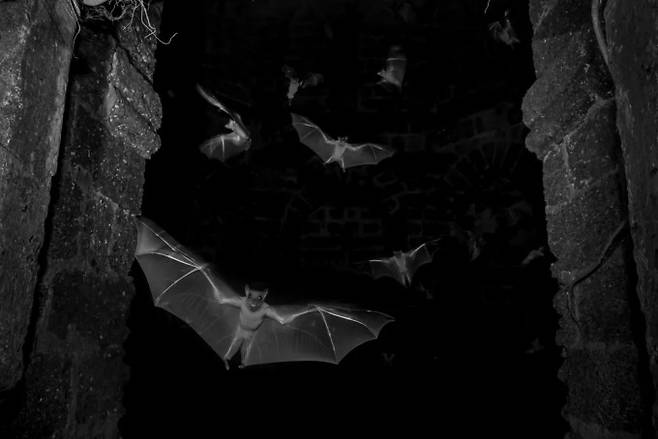 Sitaram Raul 제공.