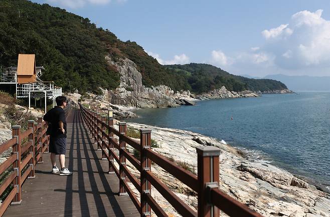 거금생태숲 인근에 조성된 나무 데크길. 박미향 기자