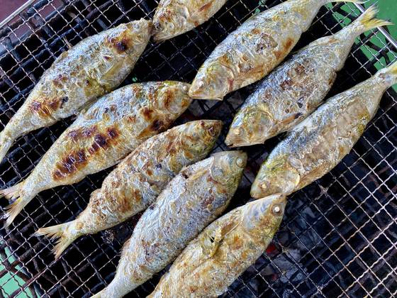 여름 전어나 초가을 전어의 경우 뼈 채 썰어서 회로 즐길 수도 있지만, 우리에게 익숙한 최고의 맛은 역시 숯불에 구운 ‘전어구이’다. [사진 박상현]