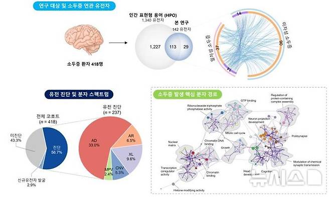 [서울=뉴시스]  국내 소두증 유전자 스펙트럼 규명. (사진= 서울대병원 제공)